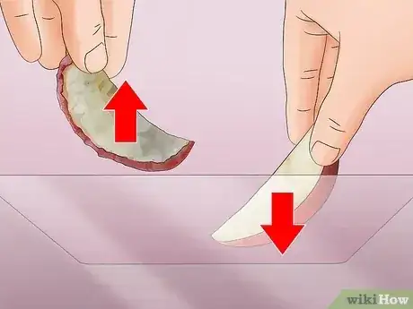 صورة عنوانها Keep Crickets Alive Step 9