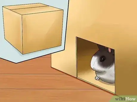 صورة عنوانها Make Sure Your Rabbit Has the Best Life You Can Give It Step 12