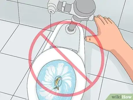 صورة عنوانها Tell if Your Fish Is Dead Step 8