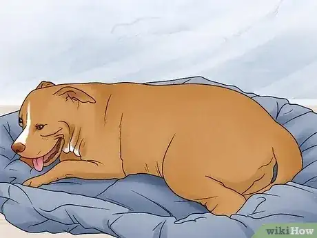 صورة عنوانها Know when a Dog Is Done Giving Birth Step 2