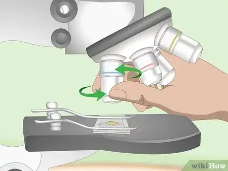 صورة عنوانها Use a Light Microscope Step 8