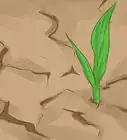 أن تكون مشرفا ناجحا