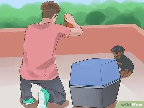 صورة عنوانها Care for a Rottweiler Puppy Step 9