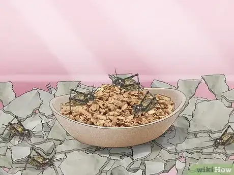صورة عنوانها Keep Crickets Alive Step 7