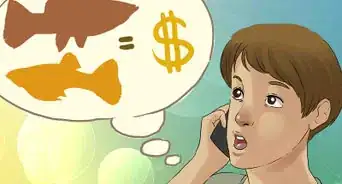 معرفة أن أسماكك ستضع صغارا