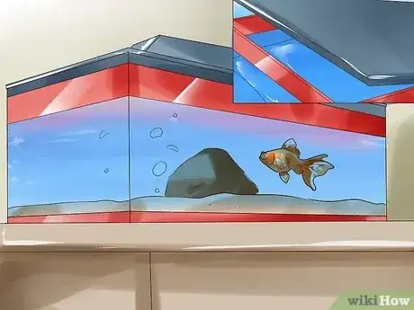 صورة عنوانها Humanely Kill a Fish Step 3