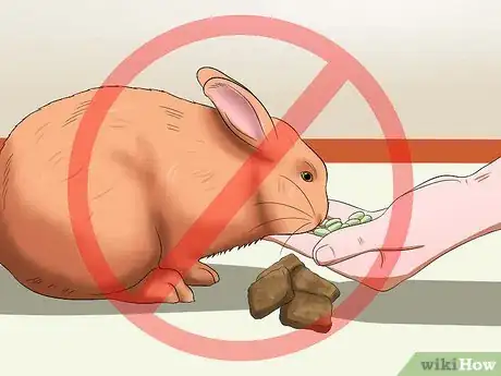 Image titled Make Rabbit Treats Step 11