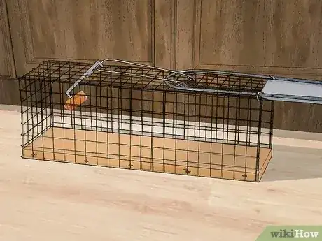 Gambar berjudul Get Rid of Rats Step 11