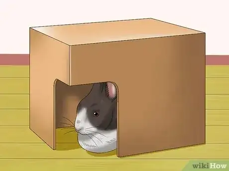 Gambar berjudul Calm a Rabbit Step 1