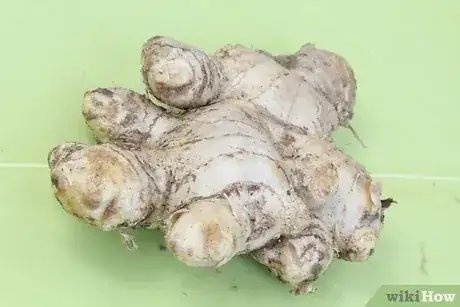 Gambar berjudul Freeze Ginger Step 1