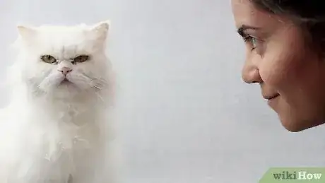 Gambar berjudul Bond With Your Cat Step 2
