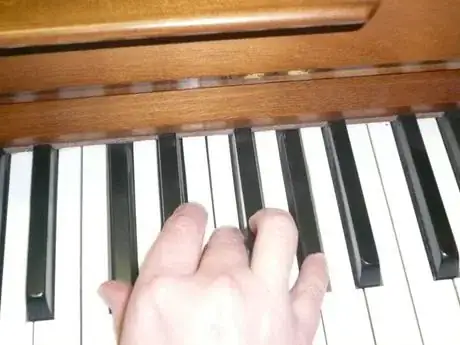 Gambar berjudul C_Sharp__Right_Hand_670.JPG