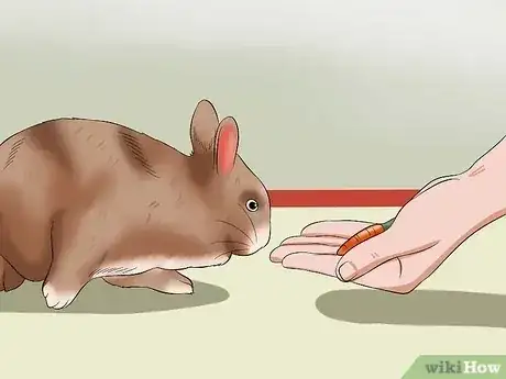 Gambar berjudul Calm a Rabbit Step 7