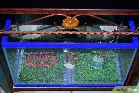 Gambar berjudul Set Up a Turtle Tank Step 5