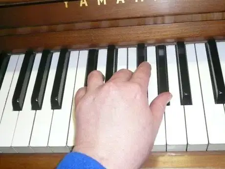 Gambar berjudul C_Sharp_left_hand_633.JPG