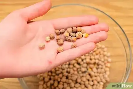 Gambar berjudul Cook Dried Chickpeas Step 5