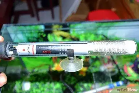 Gambar berjudul Set Up a Turtle Tank Step 3