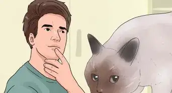 Menghentikan Kebiasaan Kucing Menggigit dan Mencakar