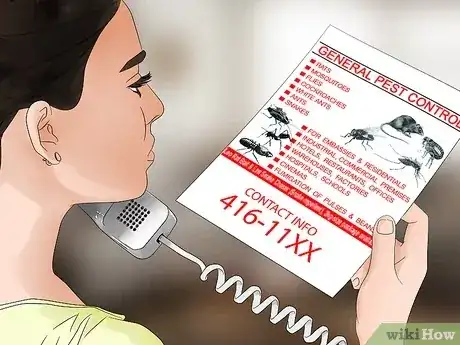 Gambar berjudul Get Rid of Rats Step 13