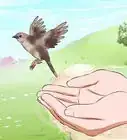 Memberi Makan Anak Burung