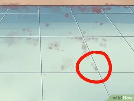 Gambar berjudul Trap Rats Step 9