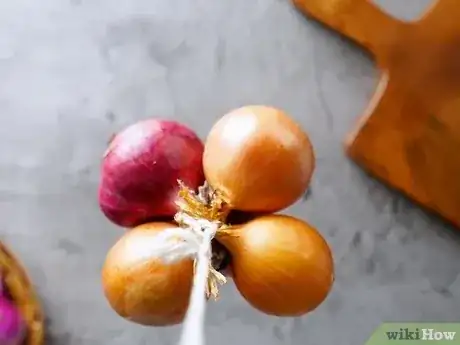Gambar berjudul Dry Onions Step 4