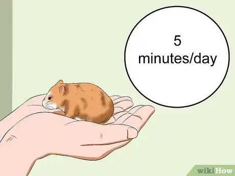 Gambar berjudul Make Your Hamster Trust You Step 10
