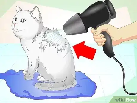 Gambar berjudul Inconspicuously Bathe a Cat Without Being Scratched Step 13