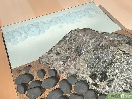 Gambar berjudul Look After a Turtle Step 4