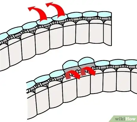 Gambar berjudul Remove Watch Band Links Step 16