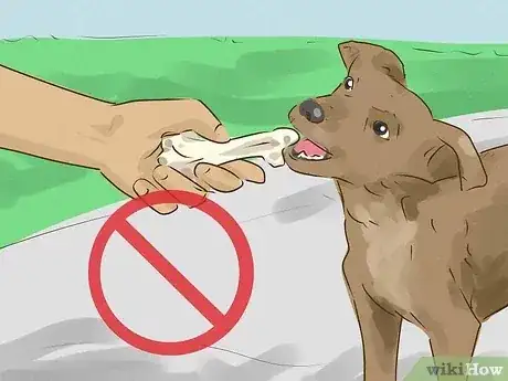 Gambar berjudul Prevent a Rabies Infection Step 4