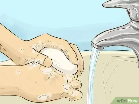 Gambar berjudul Prevent a Rabies Infection Step 7