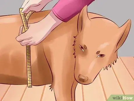 Gambar berjudul Treat Arthritis in Dogs Step 1