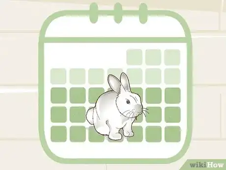 Gambar berjudul Hunt Rabbit Step 2