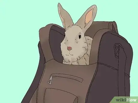 Gambar berjudul Pick up a Rabbit Step 13