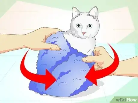 Gambar berjudul Inconspicuously Bathe a Cat Without Being Scratched Step 12
