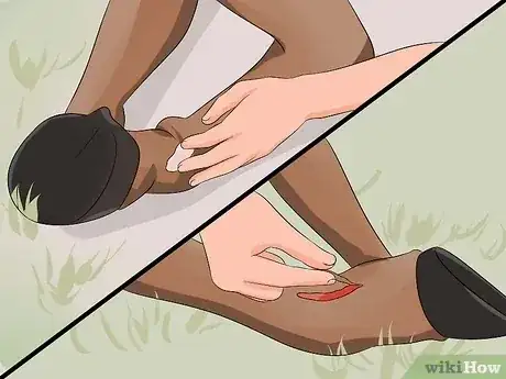 Gambar berjudul Rid Your Horse of Mud Fever Step 5