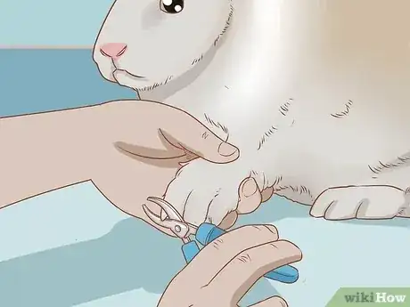 Gambar berjudul Raise Rabbits Step 13