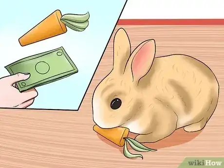 Gambar berjudul Care for Dwarf Rabbits Step 6