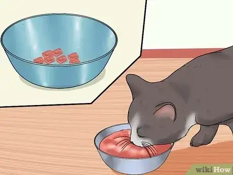 Gambar berjudul Know if a Cat Is Stressed Step 3