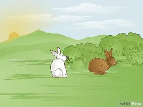Gambar berjudul Hunt Rabbit Step 9