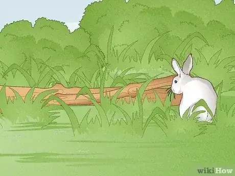 Gambar berjudul Hunt Rabbit Step 7