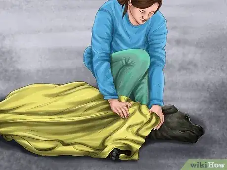 Gambar berjudul Save an Animal That's Been Hit by a Car Step 9