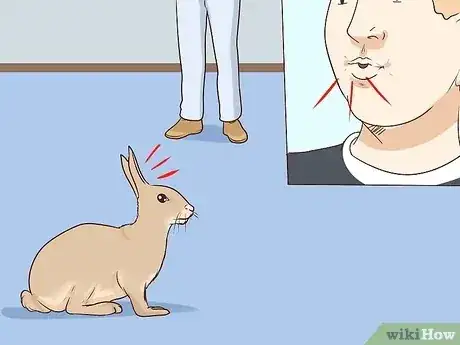 Gambar berjudul Pet a Rabbit Step 1