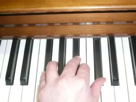 Gambar berjudul F_Sharp_Left_Hand_98.JPG