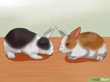 Gambar berjudul Buy a Rabbit Step 6