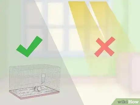 Gambar berjudul Keep Your Guinea Pig Cool in Hot Weather Step 2