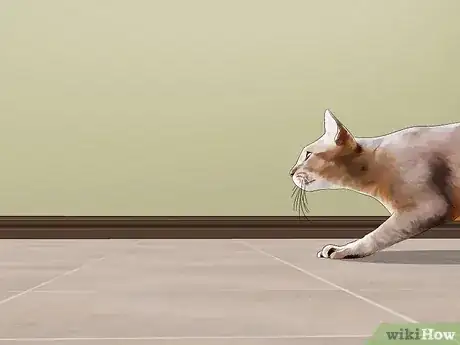 Gambar berjudul Get Rid of Rats Step 1