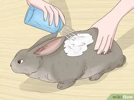 Gambar berjudul Get Rid of Fleas on Rabbits Step 3