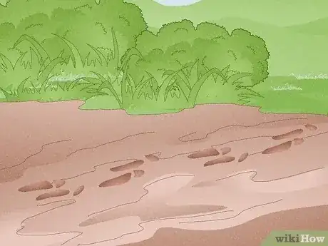Gambar berjudul Hunt Rabbit Step 11